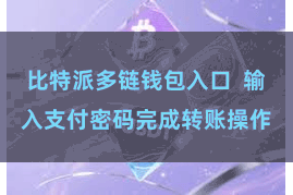 比特派多链钱包入口  输入支付密码完成转账操作