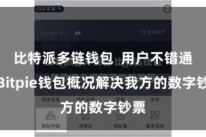 比特派多链钱包  用户不错通过Bitpie钱包概况解决我方的数字钞票